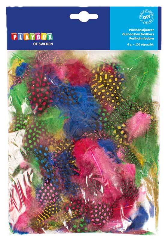 Plumes de pintade - 100 pcs., multicolores