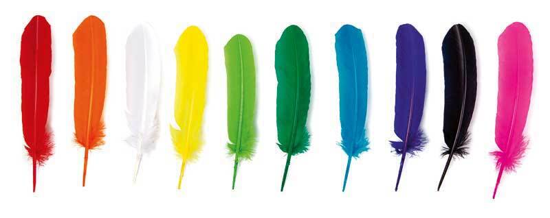 Plumes grandes - 10 pces, 30-35 cm, multic