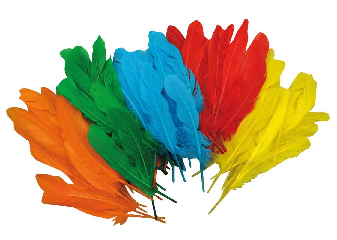 Plumes - 120 pcs., multicolores